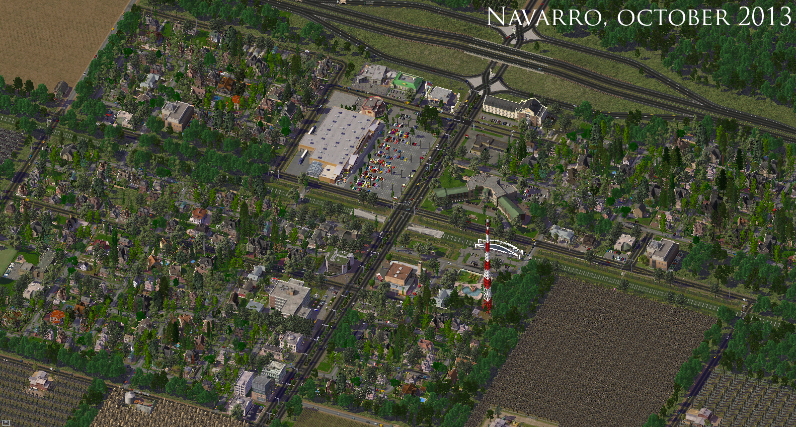 navarro2013_672.jpg
