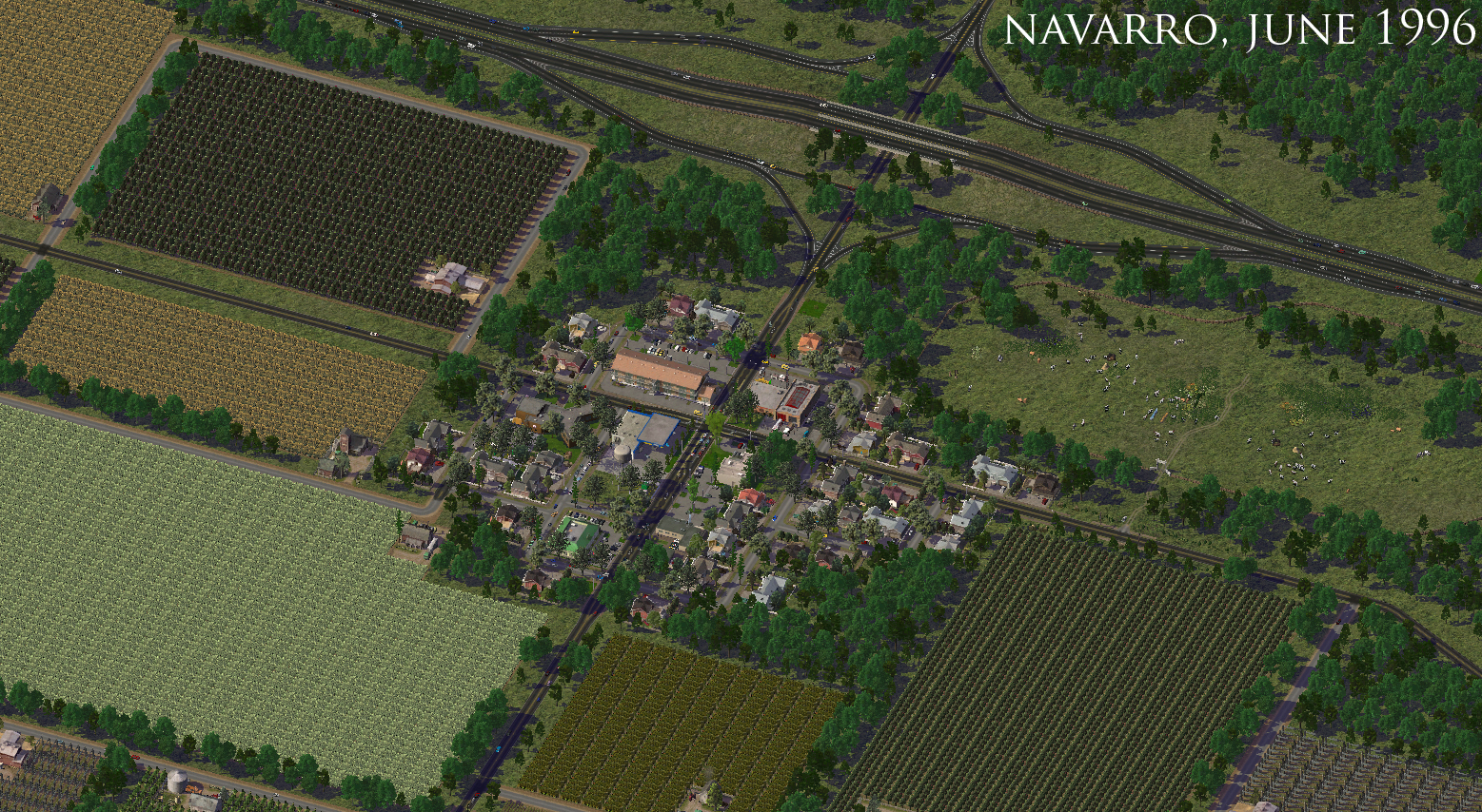 navarro_large_206.jpg