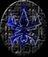 cyborglogo_notblue.jpg