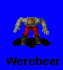 werebear_preview.gif