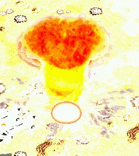 nukesmile.jpg