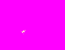 Animation1.gif