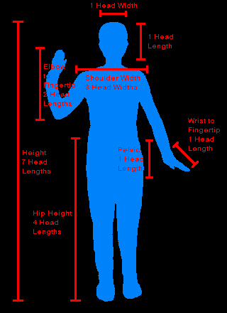 Body Dimensions.png