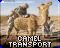 camel transport 0000.png
