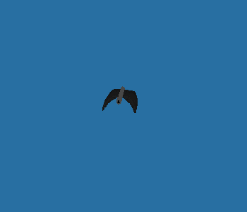 emperorbar_006.gif