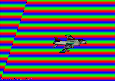 falc_000.gif