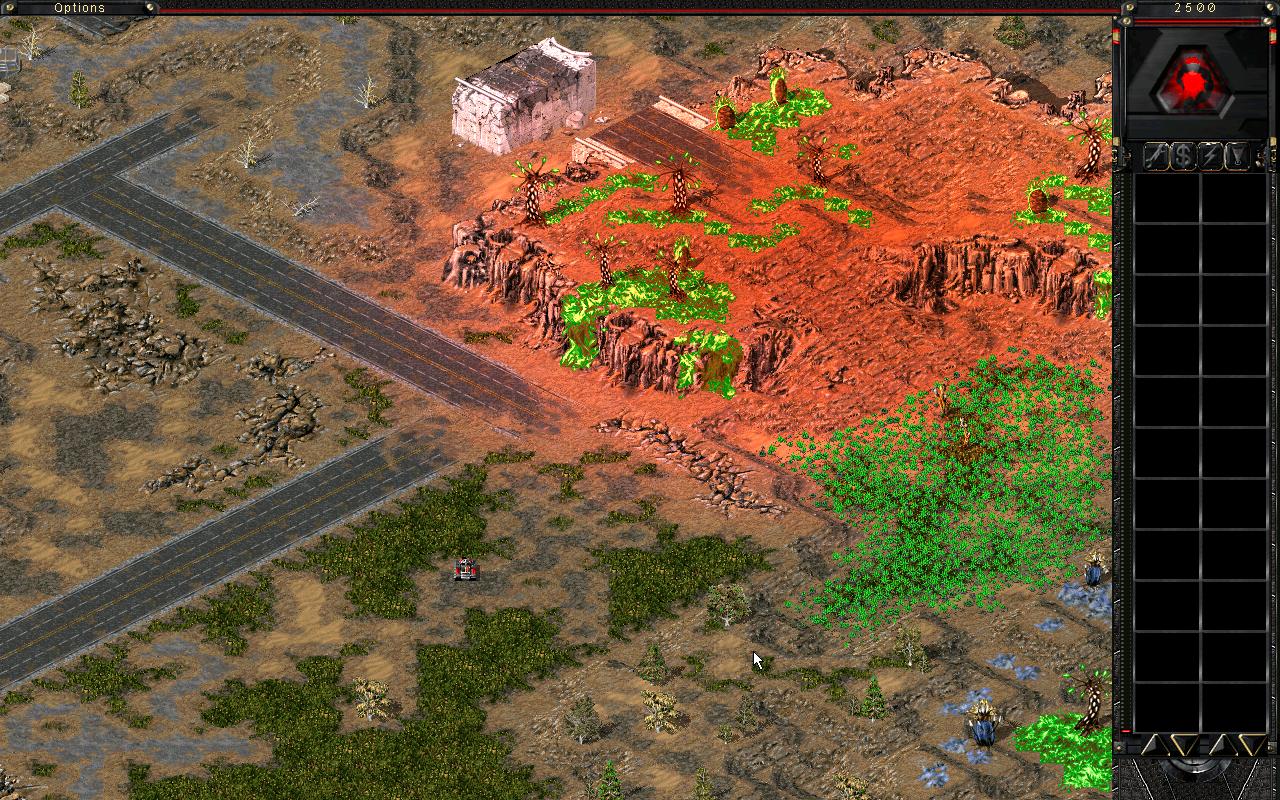 hydora 1.JPG