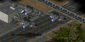 ingame2.jpg