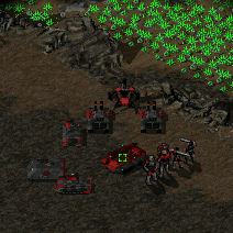 nonametag03.jpg