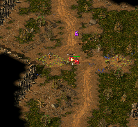nvs2.jpg