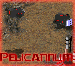 Pelicannum.png