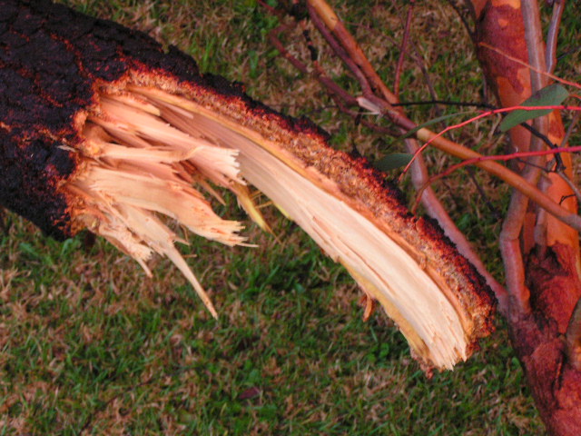 PICT0015.jpg