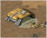 rvf.png