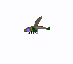 sek2_000.gif