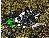 wtf3.jpeg